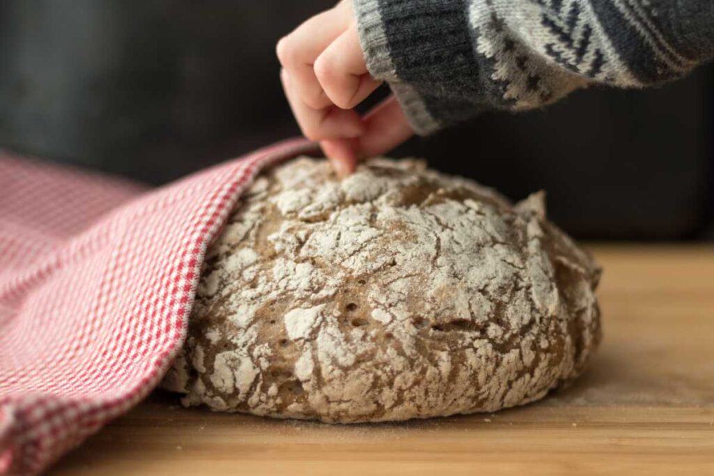 gluten-free sourdough bread